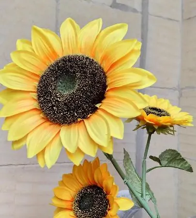 Bed & Breakfast Gizimina By Verosole 3*