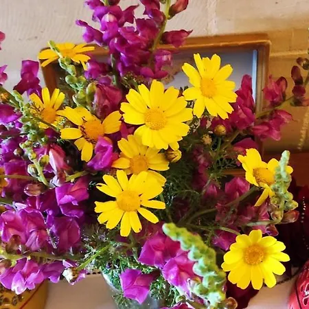 Gizimina By Verosole